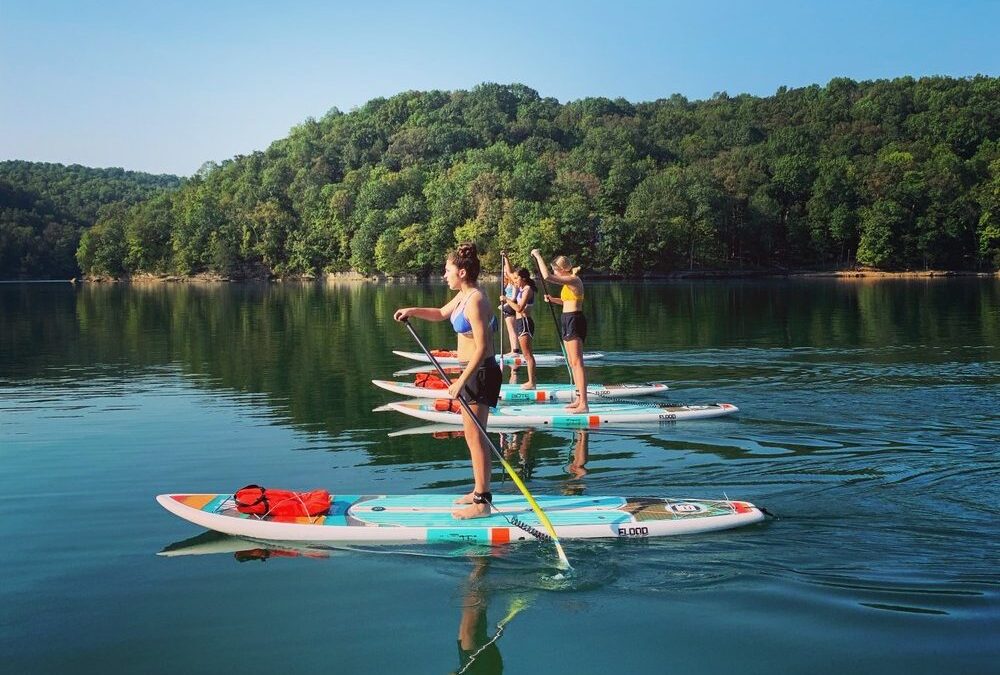 Stand Up Paddle Boards Rentals